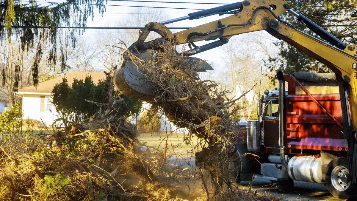 Crane Assisted Storm Cleanup